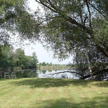 Ferienwohnungen Im Kunst.Haus Am See Doberlug-Kirchhain 外观 照片