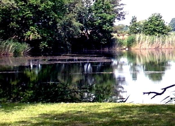 Ferienwohnungen Im Kunst.Haus Am See Doberlug-Kirchhain 外观 照片