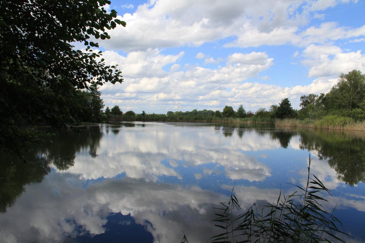 Ferienwohnungen Im Kunst.Haus Am See Doberlug-Kirchhain 外观 照片